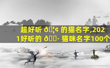 超好听 🦢 的猫名字,2021好听的 🕷 猫咪名字100个